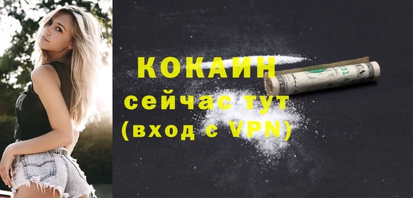 крисы Баксан