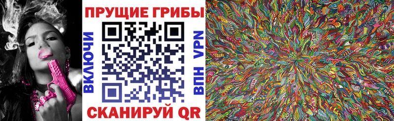 blacksprut онион  Бодайбо  Псилоцибиновые грибы прущие грибы 